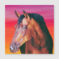 Bay Horse Gradient