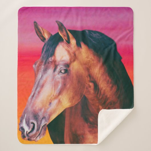 Bay Horse Gradient Sherpadecke (Vorderseite)