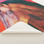 Bay Horse Gradient Sherpadecke (3/4)