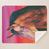 Bay Horse Gradient Sherpadecke (Vorderseite (Horizontal))