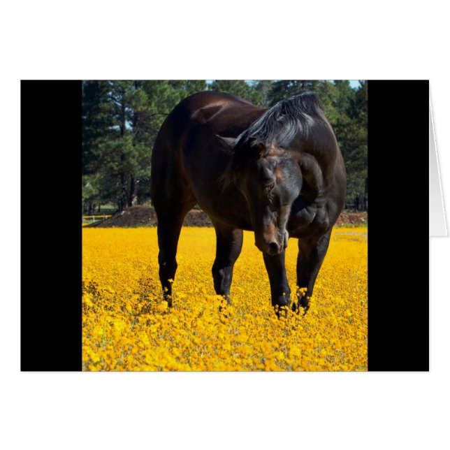 Bay Horse in einem Feld gelber Blumen (Vorderseite (Horizontal))