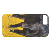 Bay Horse in einem Feld gelber Blumen Case-Mate iPhone Hülle (Rückseite (Horizontal))