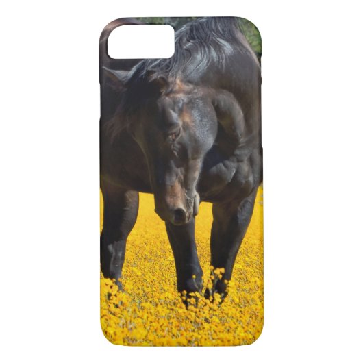Bay Horse in einem Feld gelber Blumen Case-Mate iPhone Hülle (Rückseite)