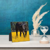 Bay Horse in einem Feld gelber Blumen Fotoplatte (InSitu)