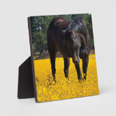 Bay Horse in einem Feld gelber Blumen Fotoplatte (Vorderseite)