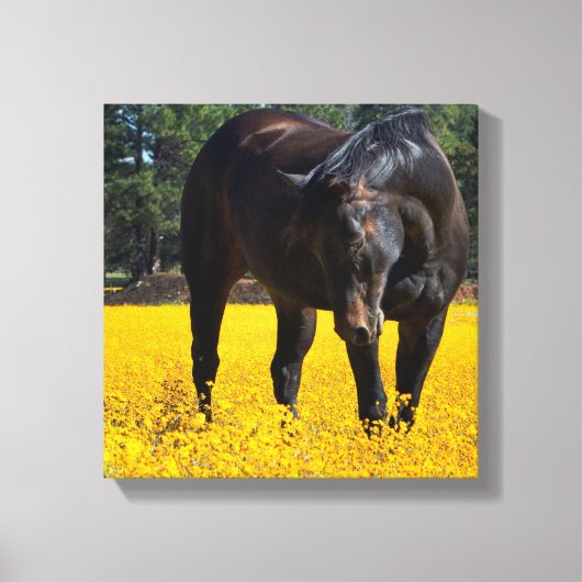 Bay Horse in einem Feld gelber Blumen Leinwanddruck (Vorderseite)
