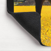 Bay Horse in einem Feld gelber Blumen Mousepad (Ecke)