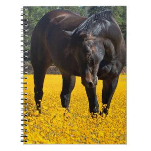 Bay Horse in einem Feld gelber Blumen Notizblock