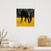 Bay Horse in einem Feld gelber Blumen Poster (Küche)