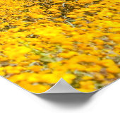 Bay Horse in einem Feld gelber Blumen Poster (Ecke)