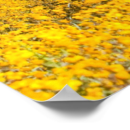 Bay Horse in einem Feld gelber Blumen Poster (Ecke)