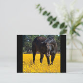 Bay Horse in einem Feld gelber Blumen Postkarte (Stehend Vorderseite)