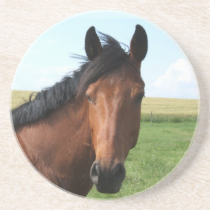 Bay Horse in Pasture Sandstein Untersetzer
