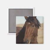 Bay Horse in Wind Magnet (Vorderseite/Rückseite)