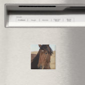 Bay Horse in Wind Magnet (In Situ (Geschirrspüler))