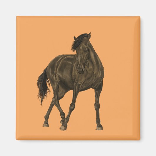 Bay Horse Magnet (Vorne)