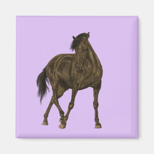 Bay Horse Magnet