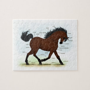 Bay Horse mit Blaze Educational Anatomic Chart Puzzle