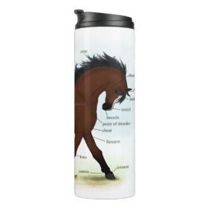 Bay Horse mit Blaze Educational Anatomic Chart Thermosbecher