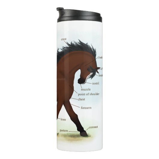 Bay Horse mit Blaze Educational Anatomic Chart Thermosbecher (Nach rechts gedreht)