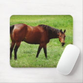 Bay Horse Mousepad (Mit Mouse)