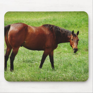 Bay Horse Mousepad
