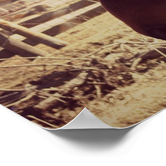 Bay Horse Poster (Ecke)