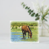 Bay Horse Postkarte (Stehend Vorderseite)