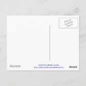 Bay Horse Postkarte (Rückseite)