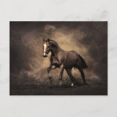 Bay Horse Postkarte (Vorderseite)