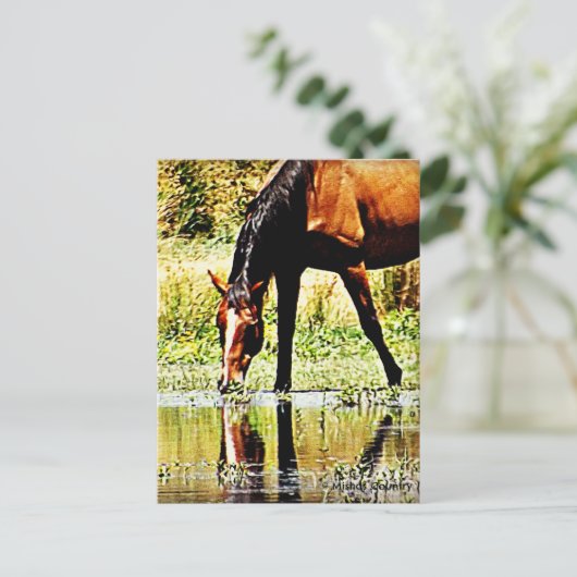 Bay Horse "Reflections" Postkarte (Stehend Vorderseite)