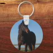 Bay Horse Schlüsselanhänger (Vorderseite)