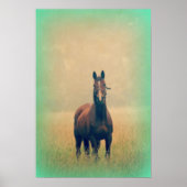Bay Horse Stehend in einem Feld Poster (Vorne)
