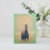 Bay Horse Stehend in einem Feld Postkarte (Stehend Vorderseite)