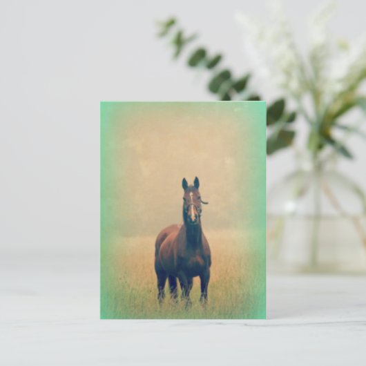 Bay Horse Stehend in einem Feld Postkarte (Stehend Vorderseite)