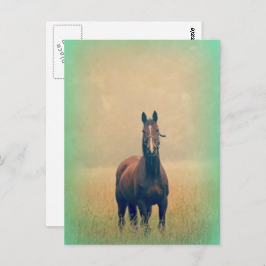 Bay Horse Stehend in einem Feld Postkarte (Vorne/Hinten)