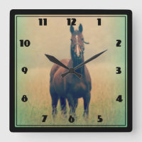 Bay Horse Stehend in einem Feld