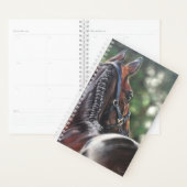 Bay Horse Thoroughbred Warmblut Dressage Jumper Planer (Anzeige)