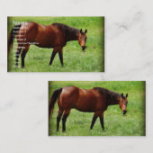 Bay Horse Visitenkarte (Vorne/Hinten)