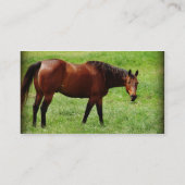 Bay Horse Visitenkarte (Rückseite)
