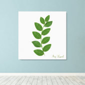 Bay Laurel Pflanze Blätter Leinwanddruck (Insitu (Holzboden))