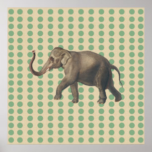 Bay Leaf Gewürzstimmungen Punkte mit Elefant Poster