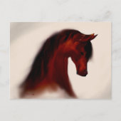 Bay Mare ~ Blank Postcard Postkarte (Vorderseite)