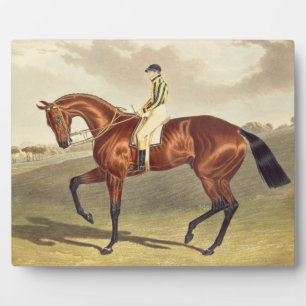 Bay Middleton, Sieger des Derby im Jahr 1836, nach Fotoplatte