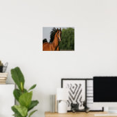 Bay Morgan Horse Headshot Mane Flows Poster (Heimbüro)