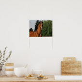 Bay Morgan Horse Headshot Mane Flows Poster (Küche)