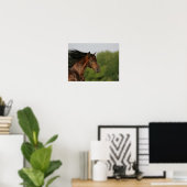 Bay Morgan Horse Headshot Mane Flows Poster (Heimbüro)