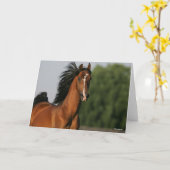 Bay Morgan Horse Headshot Mane Karte (Gelbe Blume)