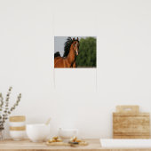 Bay Morgan Horse Headshot Mane Poster (Küche)