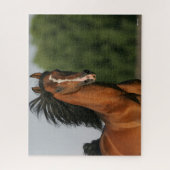 Bay Morgan Horse Headshot Mane Puzzle (Vertikal)